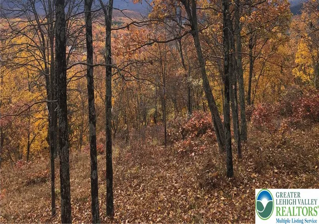 Photo 3 of Land for sale at 1216 Dorset Dr, Bushkill, PA 18324 | MLS# 774877 | Listing updated on 2026-05-11