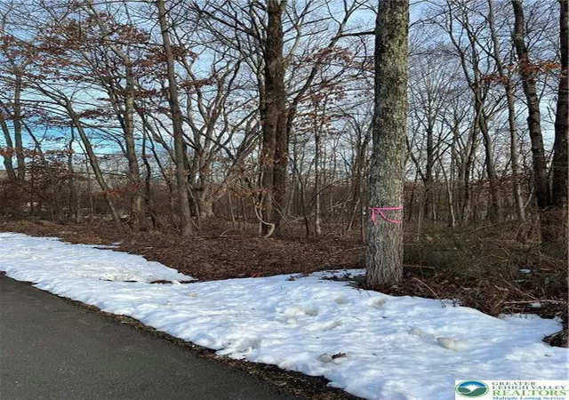 Homes for sale in Stroud Twp, PA | 2636 Woodruff Ln, Stroud Twp, PA 18360 | MLS# 775115
