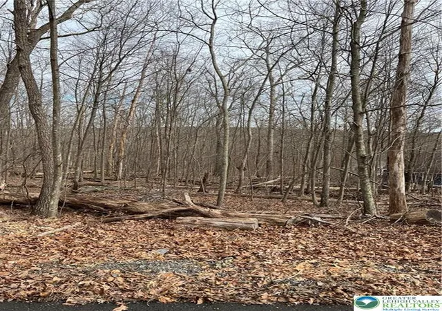 Photo 2 of Land for sale at 535 Maxatawny Dr, Pocono Lake, PA 18347 | MLS# 775393 | Listing updated on 2026-07-06