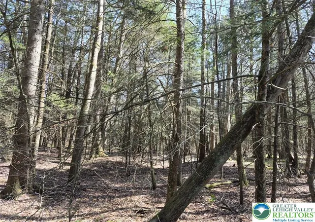 1st image of Forks Bridge Rd #Lot 3B, Stevensville, PA 18845 | MLS# 776326