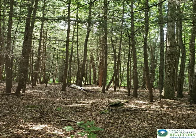 4th image of Forks Bridge Rd #Lot 3B, Stevensville, PA 18845 | MLS# 776326
