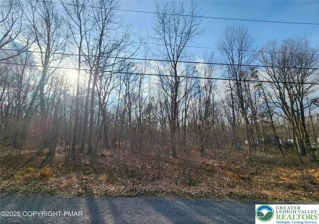 Photo 5 of Land for sale at 489 Panther Run Rd, Jim Thorpe, PA 18229 | MLS# 776694 | Listing updated on 2026-05-11