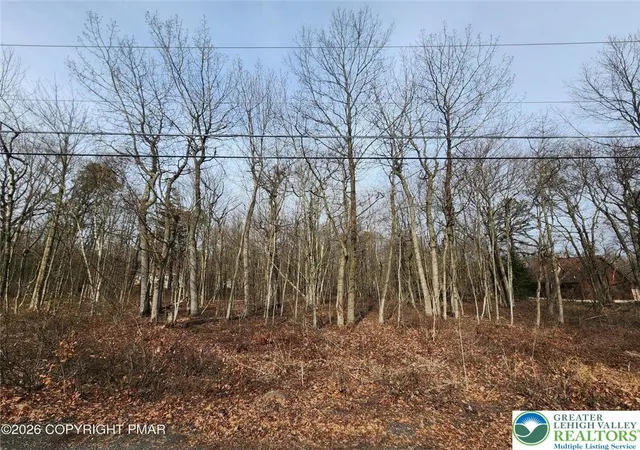 Photo 1 of Land for sale at 419 Panther Run Rd, Jim Thorpe, PA 18229 | MLS# 776695 | Listing updated on 2026-05-11