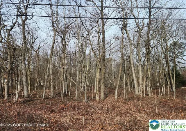 Photo 3 of Land for sale at 419 Panther Run Rd, Jim Thorpe, PA 18229 | MLS# 776695 | Listing updated on 2026-05-11