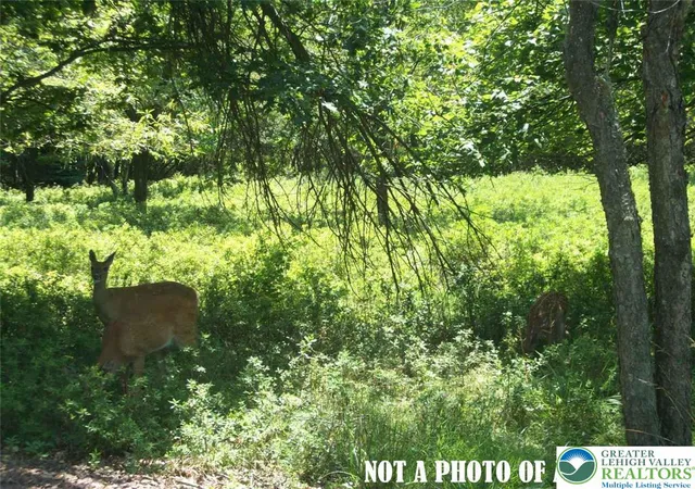 Photo 1 of Land for sale at 822 Sycamore Cir, Penn Forest Twp, PA 18210 | MLS# 776717 | Listing updated on 2026-05-11