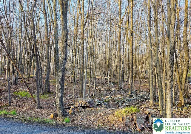 Photo 3 of Land for sale at Shawnee Trl & Highpoint Dr, Albrightsville, PA 18210 | MLS# 774872 | Listing updated on 2026-08-30