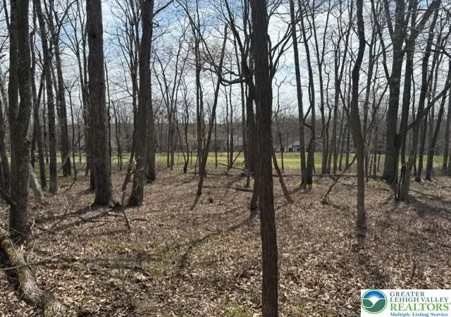 3rd image of Se Point Of Woods, East Union Twp, PA 18202 | MLS# 776628