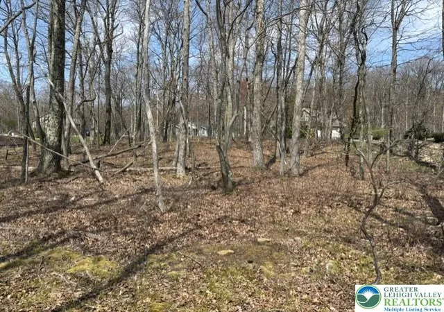 4th image of Se Point Of Woods, East Union Twp, PA 18202 | MLS# 776628