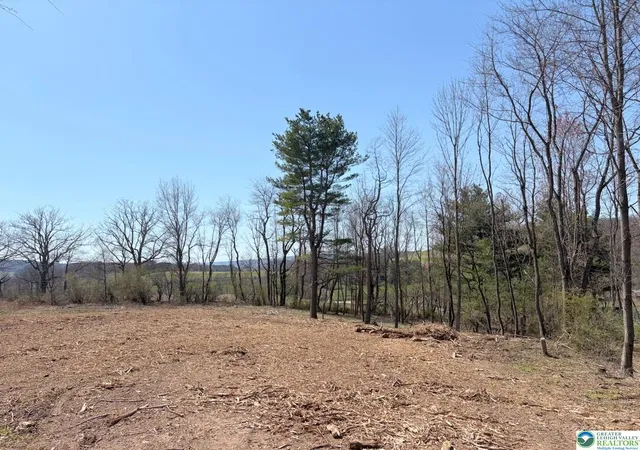Homes for sale in East Brunswick Twp, PA | 16 Ricks Rd, East Brunswick Twp, PA 17960 | MLS# 777166