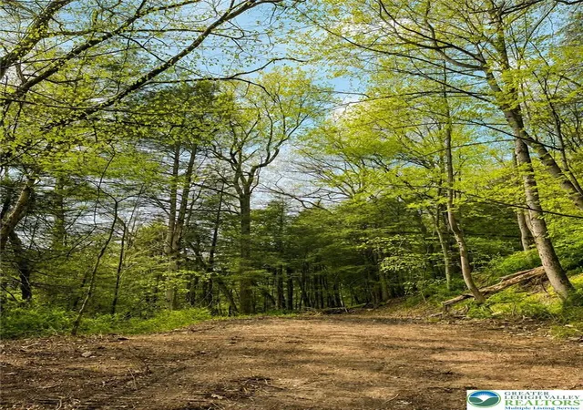 Photo 2 of Land for sale at 45052 Lower Smith Gap, Kunkletown, PA 18058 | MLS# 777598 | Listing updated on 2026-09-30