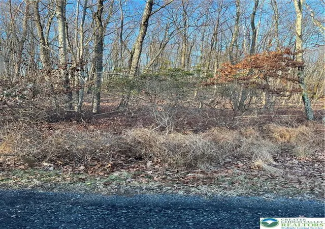 Photo 2 of Land for sale at 169 Yellow Run Rd, Jim Thorpe, PA 18229 | MLS# 778281 | Listing updated on 2026-06-03