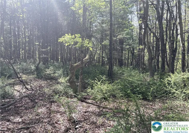 Homes for sale in Chestnuthill Twp, PA | T 420 Little Mexico Rd, Chestnuthill Twp, PA 18353 | MLS# 777337