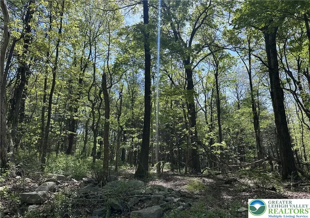 Homes for sale in Chestnuthill Twp, PA | T 420 Little Mexico Rd, Chestnuthill Twp, PA 18353 | MLS# 777337