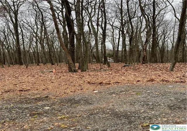 Homes for sale in Lehman Twp, PA | 302 Traverse Rd, Lehman Twp, PA 18328 | MLS# 778328