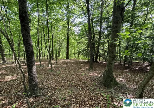 Homes for sale in Jim Thorpe Boro, PA | Leisure Ln, Jim Thorpe Boro, PA 18229 | MLS# 777660