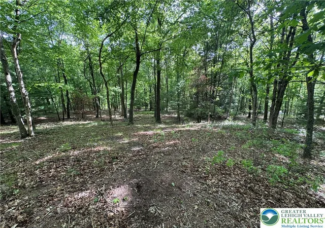 Homes for sale in Jim Thorpe Boro, PA | Leisure Ln, Jim Thorpe Boro, PA 18229 | MLS# 777660