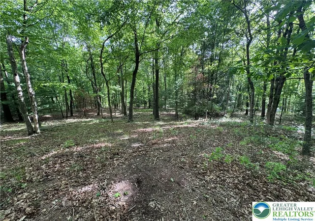 Homes for sale in Jim Thorpe Boro, PA | Leisure Ln, Jim Thorpe Boro, PA 18229 | MLS# 777660