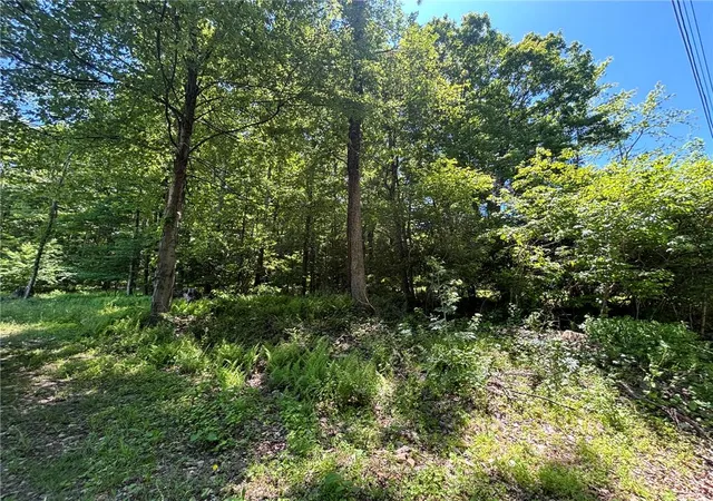 Homes for sale in Ross Twp, PA | 3344 Mountain Rd, Ross Twp, PA 18353 | MLS# 778480