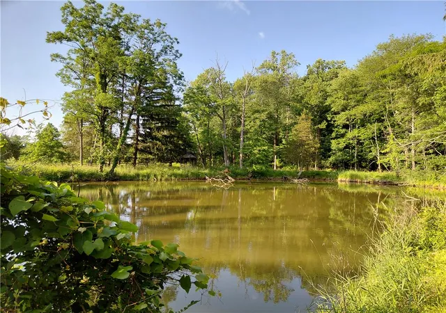 Homes for sale in Richland Twp, PA | 1602 California Rd, Richland Twp, PA 18951 | MLS# 778925