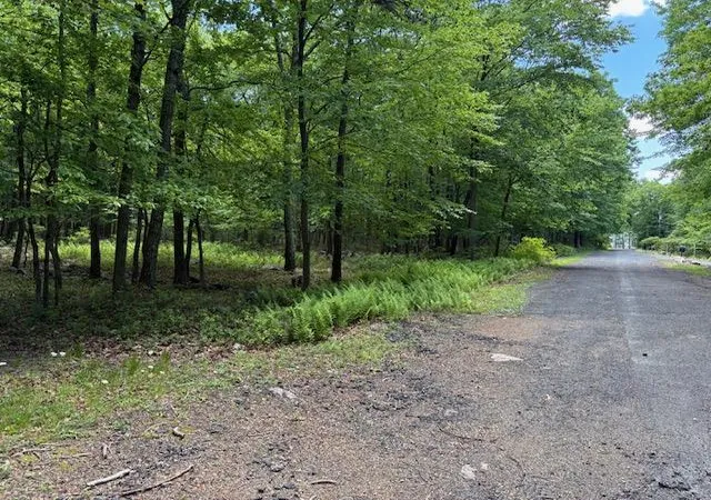 Homes for sale in Jim Thorpe, PA | Lot 249 Maple Ln, Jim Thorpe, PA 18229 | MLS# 778961