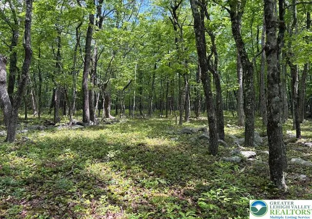 Homes for sale in Jim Thorpe, PA | Lot 250 Maple Ln, Jim Thorpe, PA 18229 | MLS# 778963