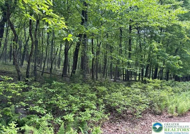 Homes for sale in Jim Thorpe, PA | Lot 250 Maple Ln, Jim Thorpe, PA 18229 | MLS# 778963