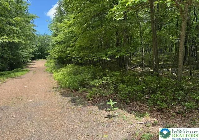 Homes for sale in Jim Thorpe, PA | Lot 250 Maple Ln, Jim Thorpe, PA 18229 | MLS# 778963