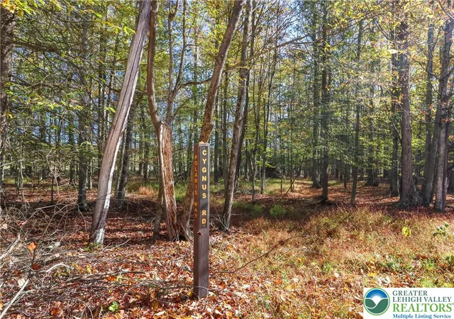 Homes for sale in Lake Ariel, PA | Cygnus Rd, Lake Ariel, PA 18436 | MLS# 778960