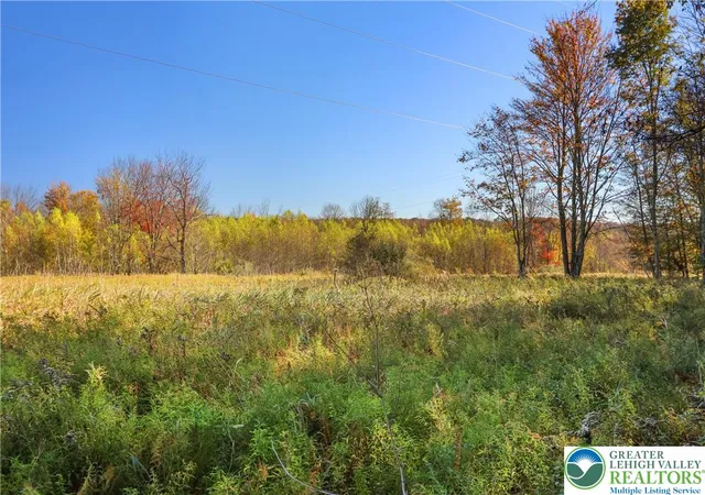 Homes for sale in Lake Ariel, PA | Cygnus Rd, Lake Ariel, PA 18436 | MLS# 778960