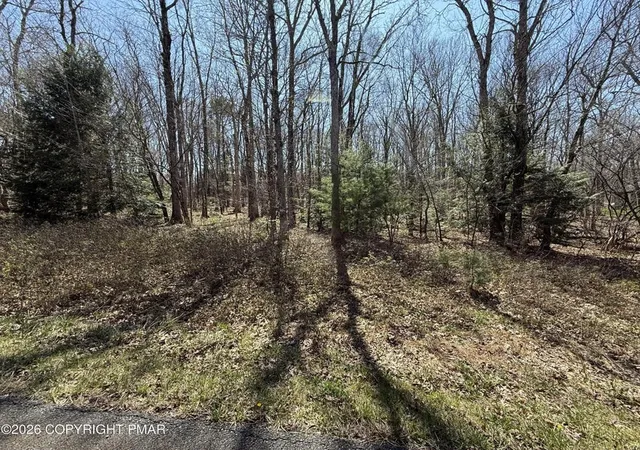 Homes for sale in Jim Thorpe, PA | 556 Drakes Dr, Jim Thorpe, PA 18229 | MLS# 779040