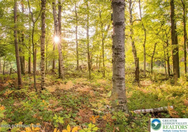 Photo 3 of Land for sale at 0 Cranberry Dr, Bushkill, PA 18324 | MLS# 779189 | Listing updated on 2026-07-31