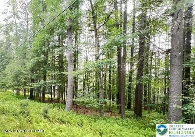Photo 4 of Land for sale at 0 Cranberry Dr, Bushkill, PA 18324 | MLS# 779189 | Listing updated on 2026-07-31