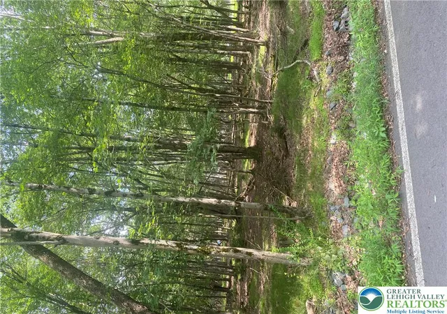Photo 7 of Land for sale at 0 Cranberry Dr, Bushkill, PA 18324 | MLS# 779189 | Listing updated on 2026-07-31