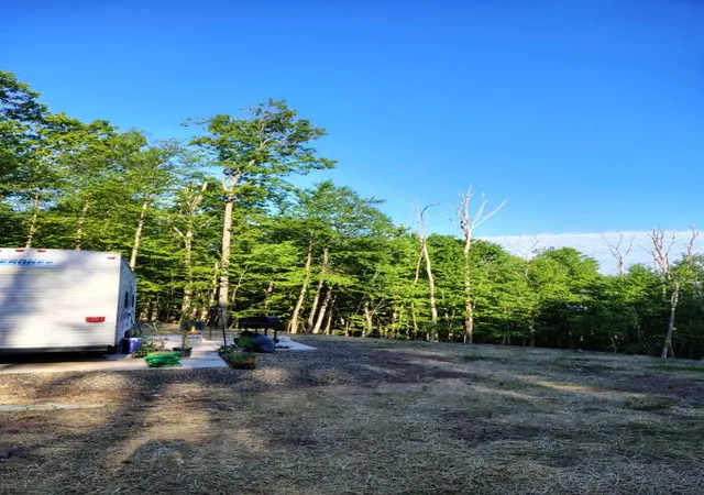 4th image of 76 Berwick Hazelton Hwy, Nescopeck, PA 18635 | MLS# 779487