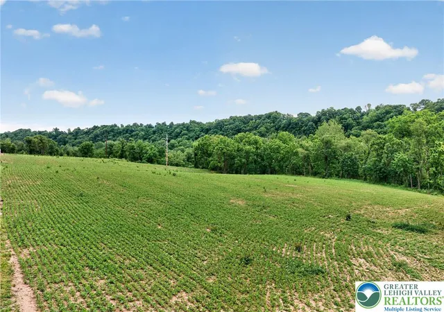 42nd image of 149 Riverview Dr #Lot 4, Walnutport, PA 18088 | MLS# 779764