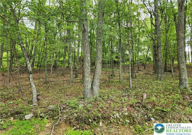 Homes for sale in Middle Smithfield Twp, PA | Seneca Rd, Middle Smithfield Twp, PA 18301 | MLS# 780005
