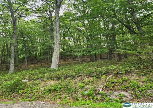 Homes for sale in Middle Smithfield Twp, PA | Seneca Rd, Middle Smithfield Twp, PA 18301 | MLS# 780005