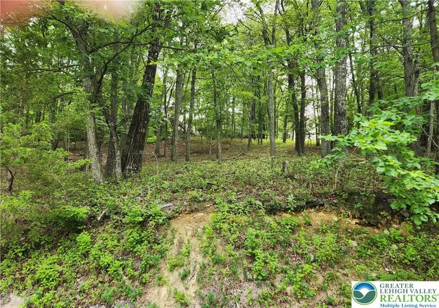 Homes for sale in Middle Smithfield Twp, PA | Seneca Rd, Middle Smithfield Twp, PA 18301 | MLS# 780005