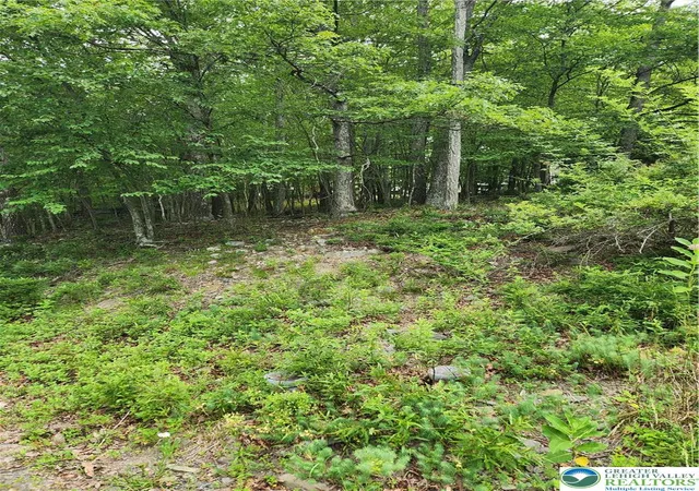 Homes for sale in Middle Smithfield Twp, PA | Seneca Rd, Middle Smithfield Twp, PA 18301 | MLS# 780005