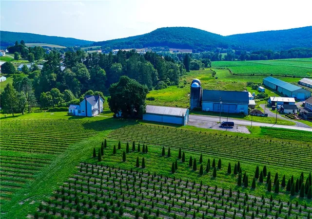 2nd image of 868 Catawissa Rd, Tamaqua, PA 18252 | MLS# 780144