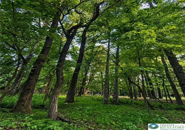 Homes for sale in Chestnuthill Twp, PA | 383 Johns Rd, Chestnuthill Twp, PA 18330 | MLS# 780200