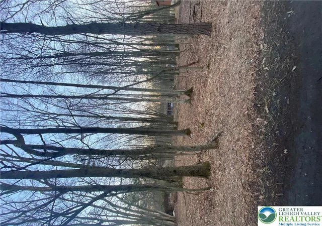 Homes for sale in Chestnuthill Twp, PA | 383 Johns Rd, Chestnuthill Twp, PA 18330 | MLS# 780200