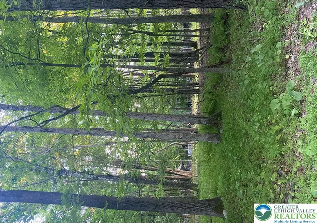 Homes for sale in Chestnuthill Twp, PA | 383 Johns Rd, Chestnuthill Twp, PA 18330 | MLS# 780200