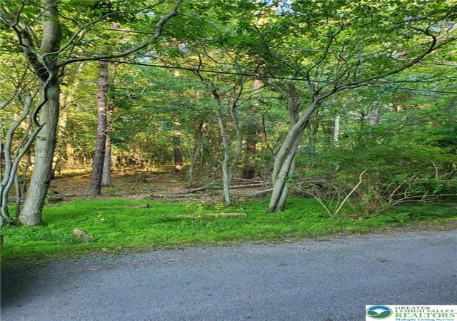 Homes for sale in Tobyhanna Twp, PA | 5120 Pine Tr Ln #808,809, Tobyhanna Twp, PA 18346 | MLS# 780207