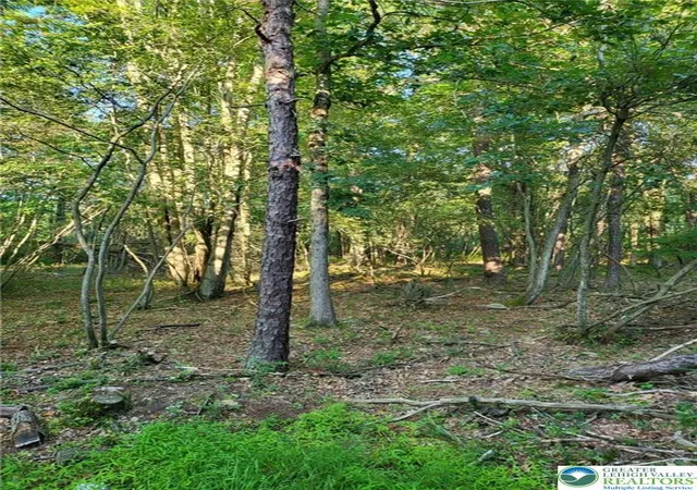 Homes for sale in Tobyhanna Twp, PA | 5120 Pine Tr Ln #808,809, Tobyhanna Twp, PA 18346 | MLS# 780207