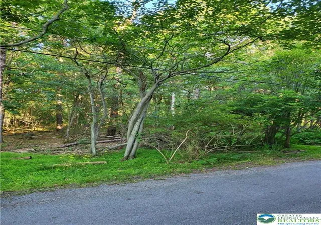 Homes for sale in Tobyhanna Twp, PA | 5120 Pine Tr Ln #808,809, Tobyhanna Twp, PA 18346 | MLS# 780207