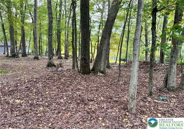 Homes for sale in Delaware Twp, PA | 127 Edgewater Dr #LOT 11 ABCD, Delaware Twp, PA 18328 | MLS# 780215