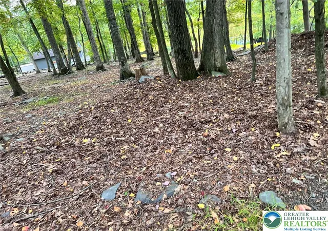 Homes for sale in Delaware Twp, PA | 127 Edgewater Dr #LOT 11 ABCD, Delaware Twp, PA 18328 | MLS# 780215