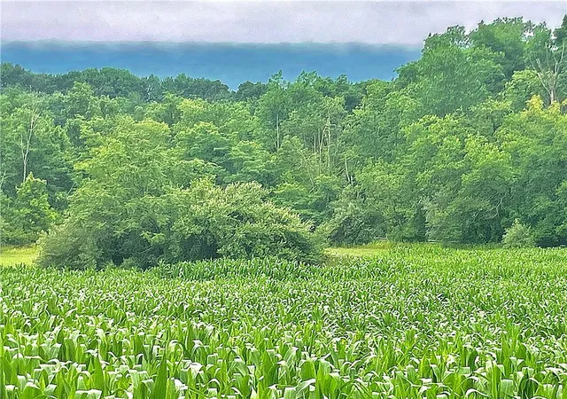 2nd image of 8368 Allemaengel Rd #Lot 6, New Tripoli, PA 18066 | MLS# 780409