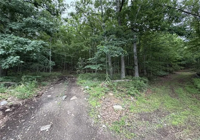 Homes for sale in Nesquehoning Boro, PA | East Diaz Ave, Nesquehoning Boro, PA 18240 | MLS# 780505